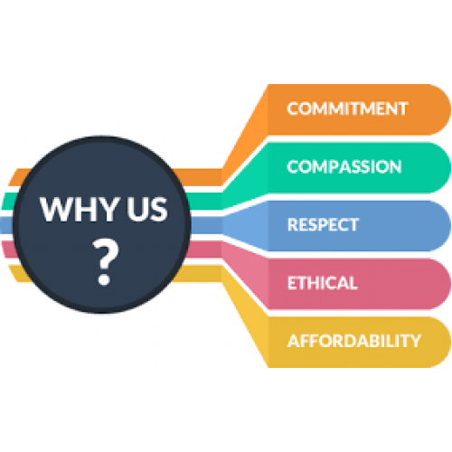 Why Choose Us
